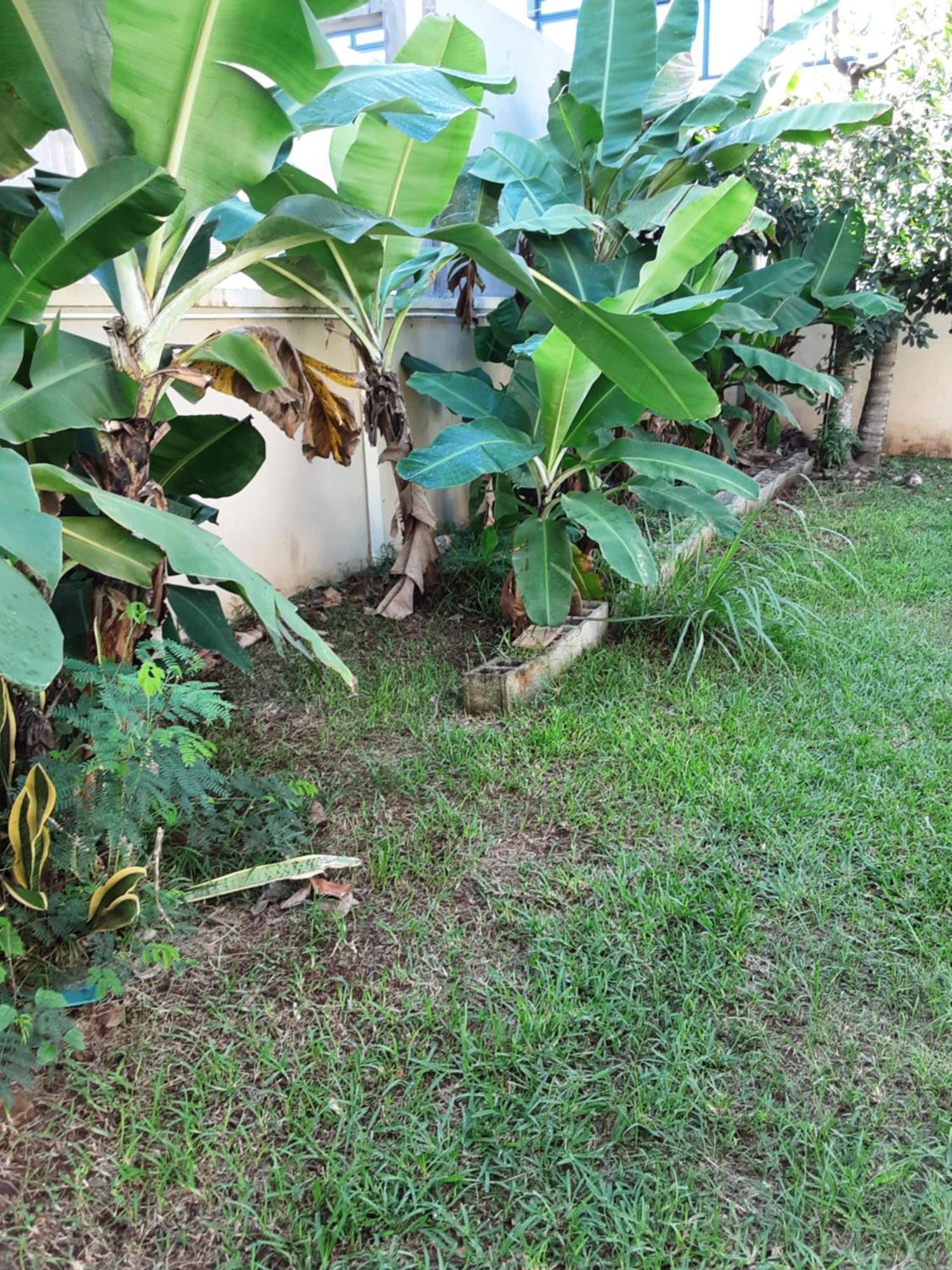 Bodhee Villa Grand Baie Exterior foto